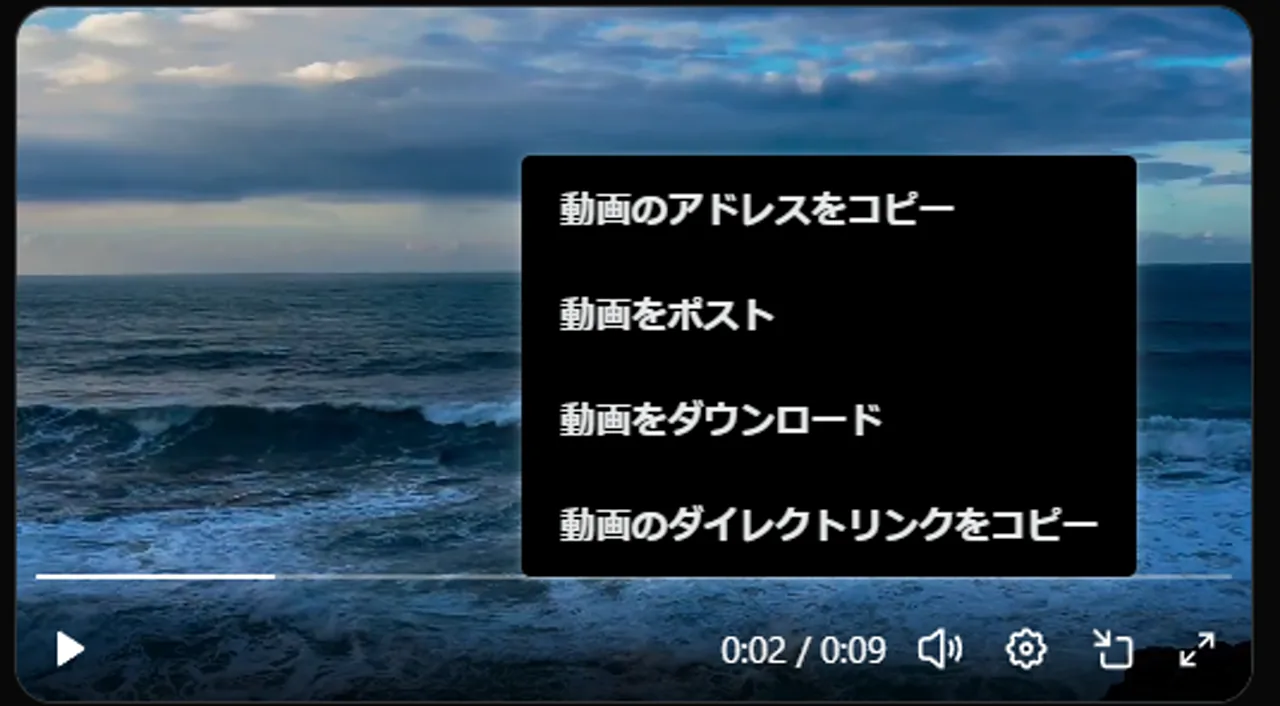 X Video Context Downloader screenshot